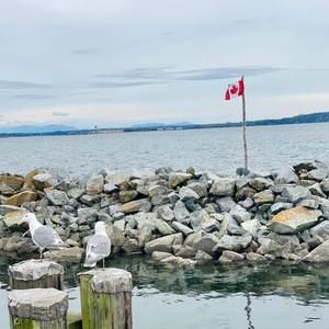 Meet your Posher, Ravi